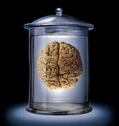 Brain in a Vat profile picture