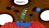 PlanktON profile picture