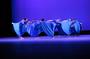 Valencia Dance Theatre profile picture