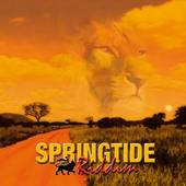 Springtide Riddim profile picture