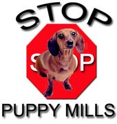 STOP PUPPY MILLS! BOYCOTT PET STORES! profile picture