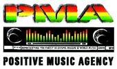 Positive Music Agency profile picture