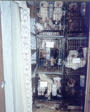 STOP PUPPY MILLS! BOYCOTT PET STORES! profile picture