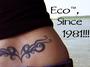 Ecoâ„¢, Since 1981!!! profile picture