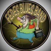 Fedes Blues Band profile picture