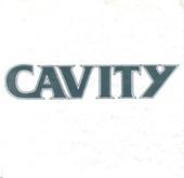 Cavity profile picture