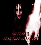 FEMALES IN ANATOLIAN DARKNESS profile picture