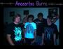 Anacortes Burns(booking July & August) profile picture