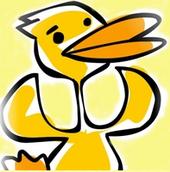 cashduck