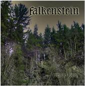 Falkenstein profile picture