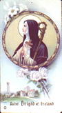 St. Brigid profile picture