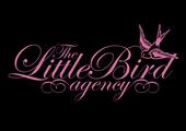 The Little Bird Agency profile picture