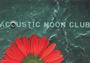 acoustic moon profile picture