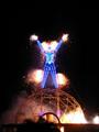 Burning Man profile picture