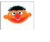 ERNIE profile picture