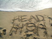 Head High is looking for shows! profile picture