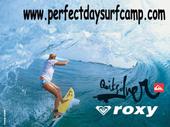 Perfect Day Surf Camp profile picture