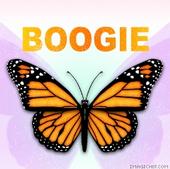 ♥BOOGIE♥ profile picture