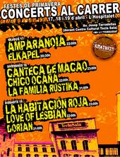 concerts al carrer!! profile picture