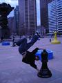 Bboy Drew Looner profile picture