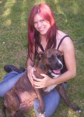 Laceys NEW DAWN PET RESCUE and animal rights page profile picture