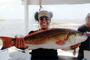 Redfish Riviera profile picture