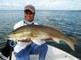 Redfish Riviera profile picture