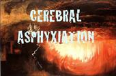 Cerebral Asphyxiation profile picture