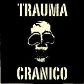 trauma craniko 08 profile picture