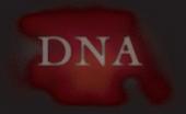 DNA Recording Facility profile picture