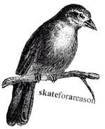 Skate For A Reason profile picture