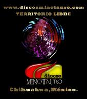 Discos Minotauro. Territorio Libre profile picture