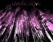 United Love (Transformations) profile picture