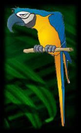 The Blue Parrot profile picture