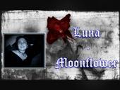 luna-moonflower profile picture