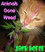 Animals Gone Weed &COPY profile picture