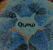 Qland profile picture