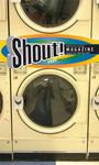 Shout! Social & Nightlife Handbook profile picture