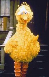 Big Bird!!! profile picture