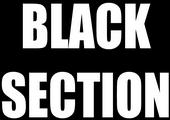 Black Section profile picture