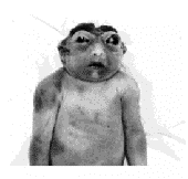 Frog Baby profile picture