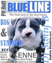 DJ Scotty B Original Maker of Blue Line Bloodline profile picture