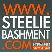 LOG ON TO WWW.STEELIEBASHMENT.COM profile picture