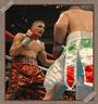 Peter Manfredo Jr profile picture