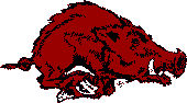 Arkansas Razorbacks profile picture