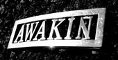 awakinink