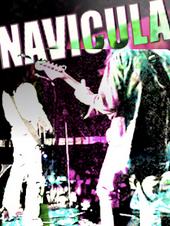 Navicula profile picture