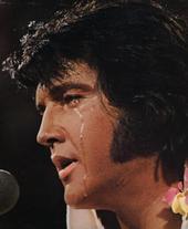 Elvis Presley TCB35 profile picture