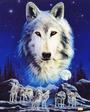 White Wolf profile picture