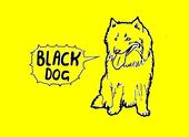 Blackdog profile picture